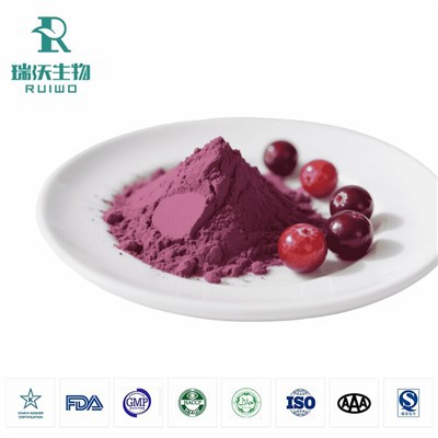 アロニア チョークベリー フルーツ パウダー バルク